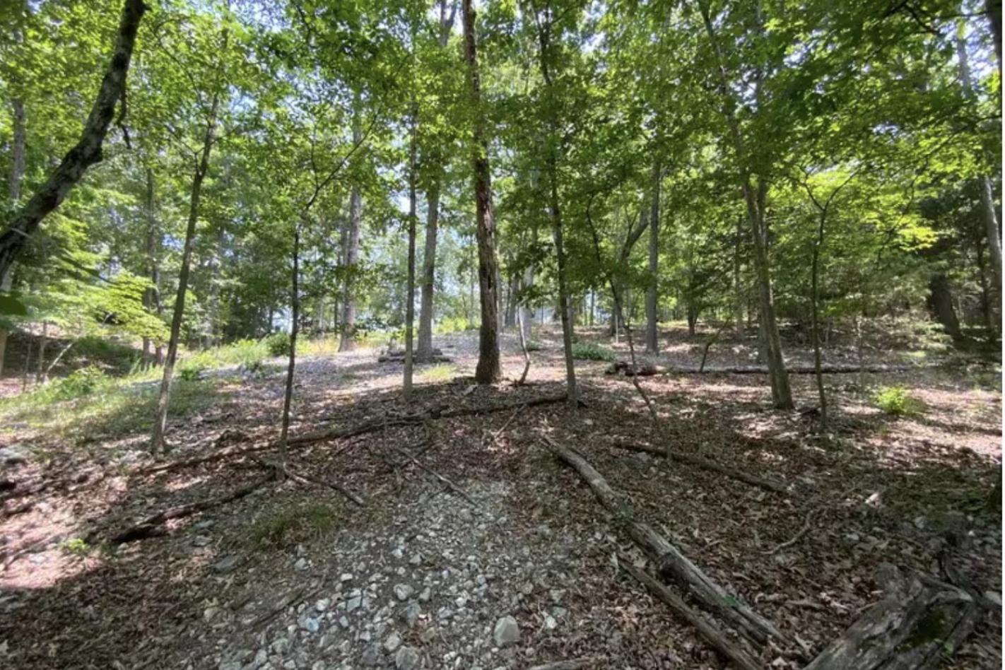 Driftwood Resort Bull Shoals Εξωτερικό φωτογραφία